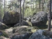 FIN, Lapland, Inari 5, Saxifraga-Dirk Hilbers